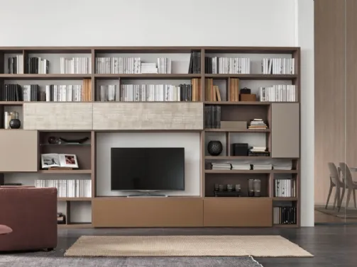 Sistema Spalla Comp SA2210