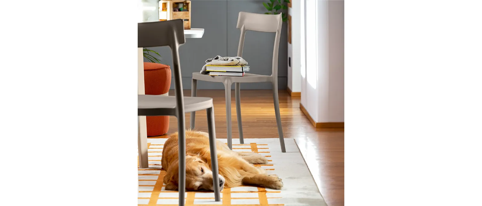 Argo chair with a classic design in polypropylene by Connubia